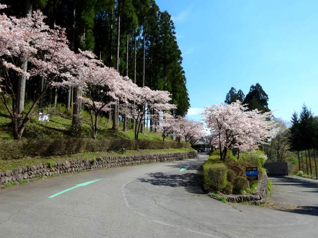20170505004